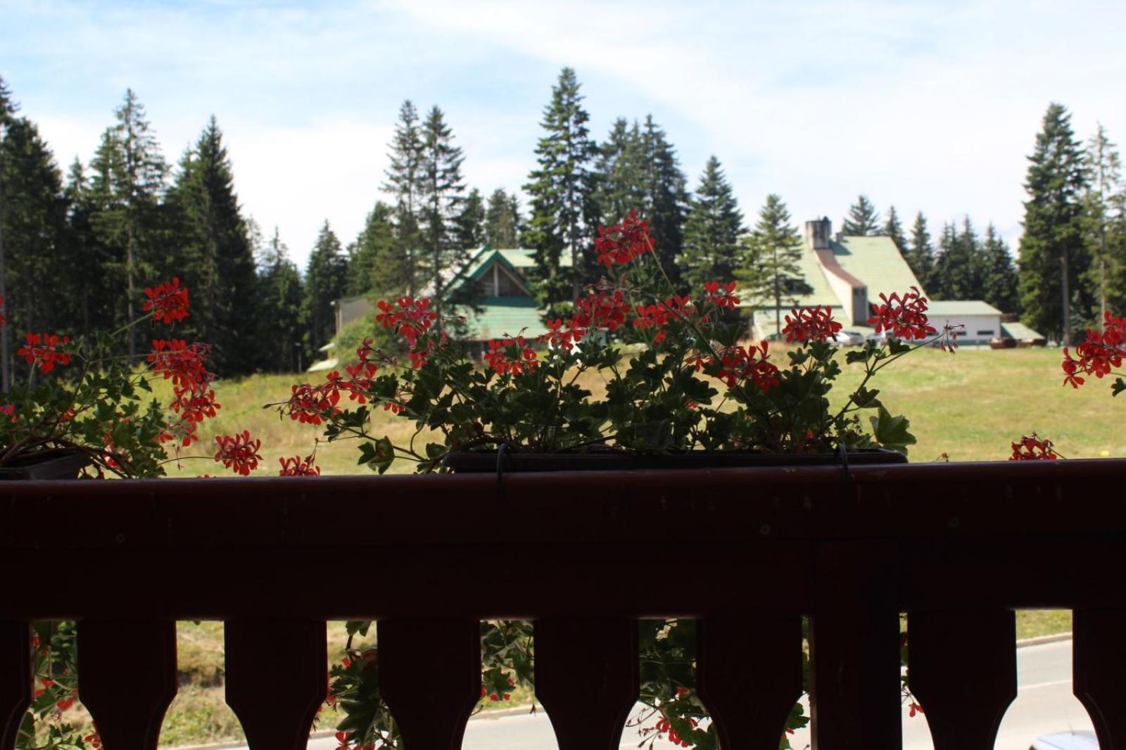 In Hotel Zlatar Ex Zlatarski Biseri Nova Varoš المظهر الخارجي الصورة