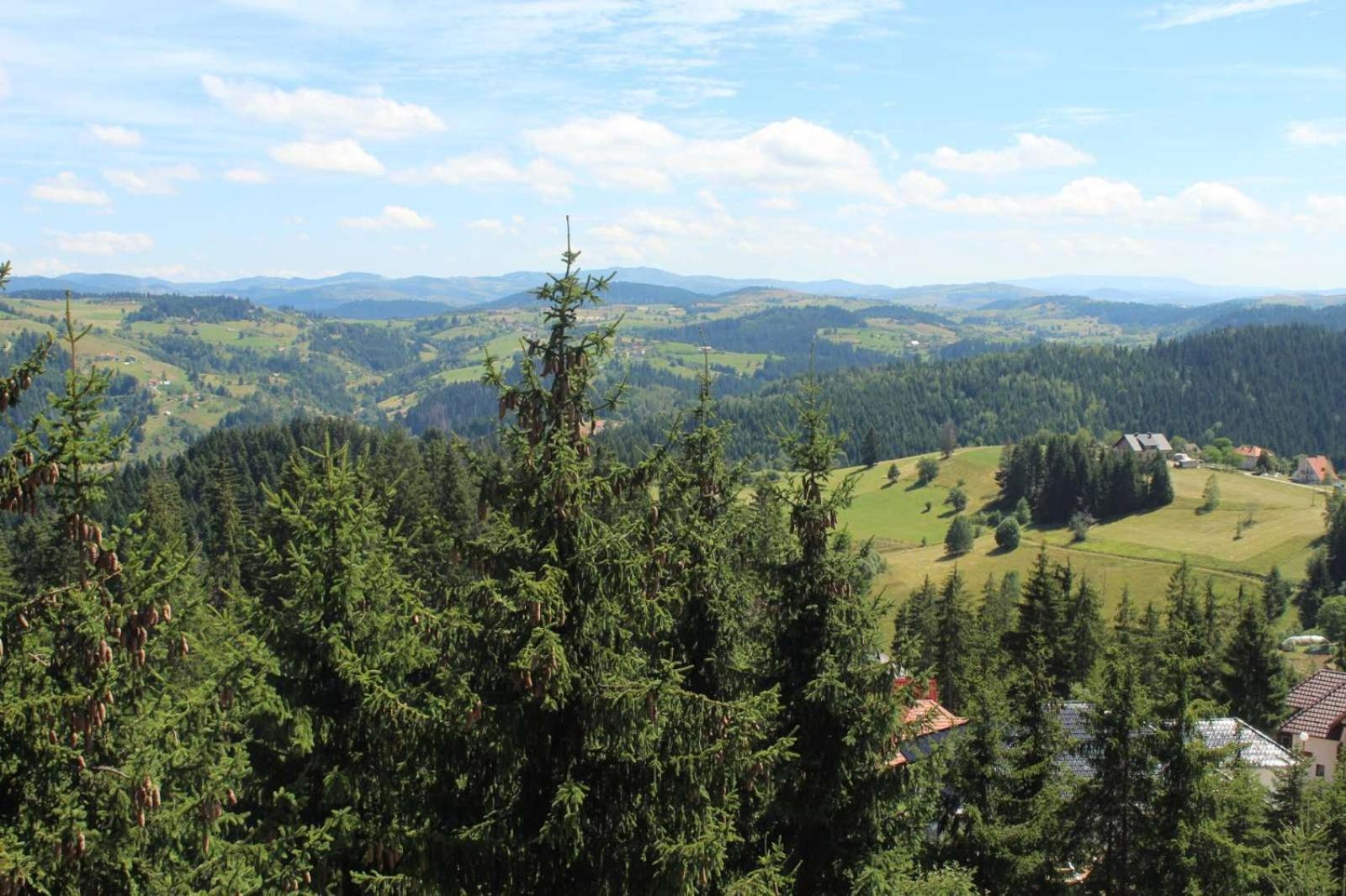 In Hotel Zlatar Ex Zlatarski Biseri Nova Varoš المظهر الخارجي الصورة
