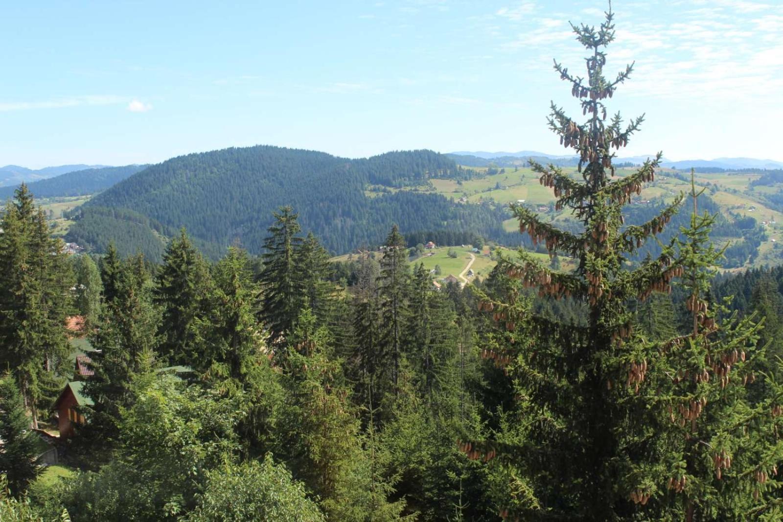 In Hotel Zlatar Ex Zlatarski Biseri Nova Varoš المظهر الخارجي الصورة