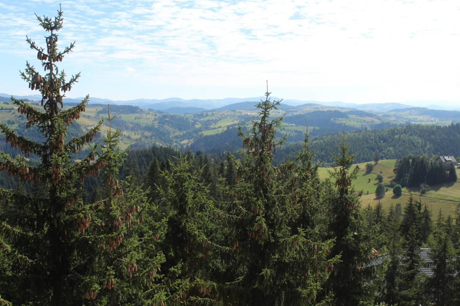 In Hotel Zlatar Ex Zlatarski Biseri Nova Varoš المظهر الخارجي الصورة