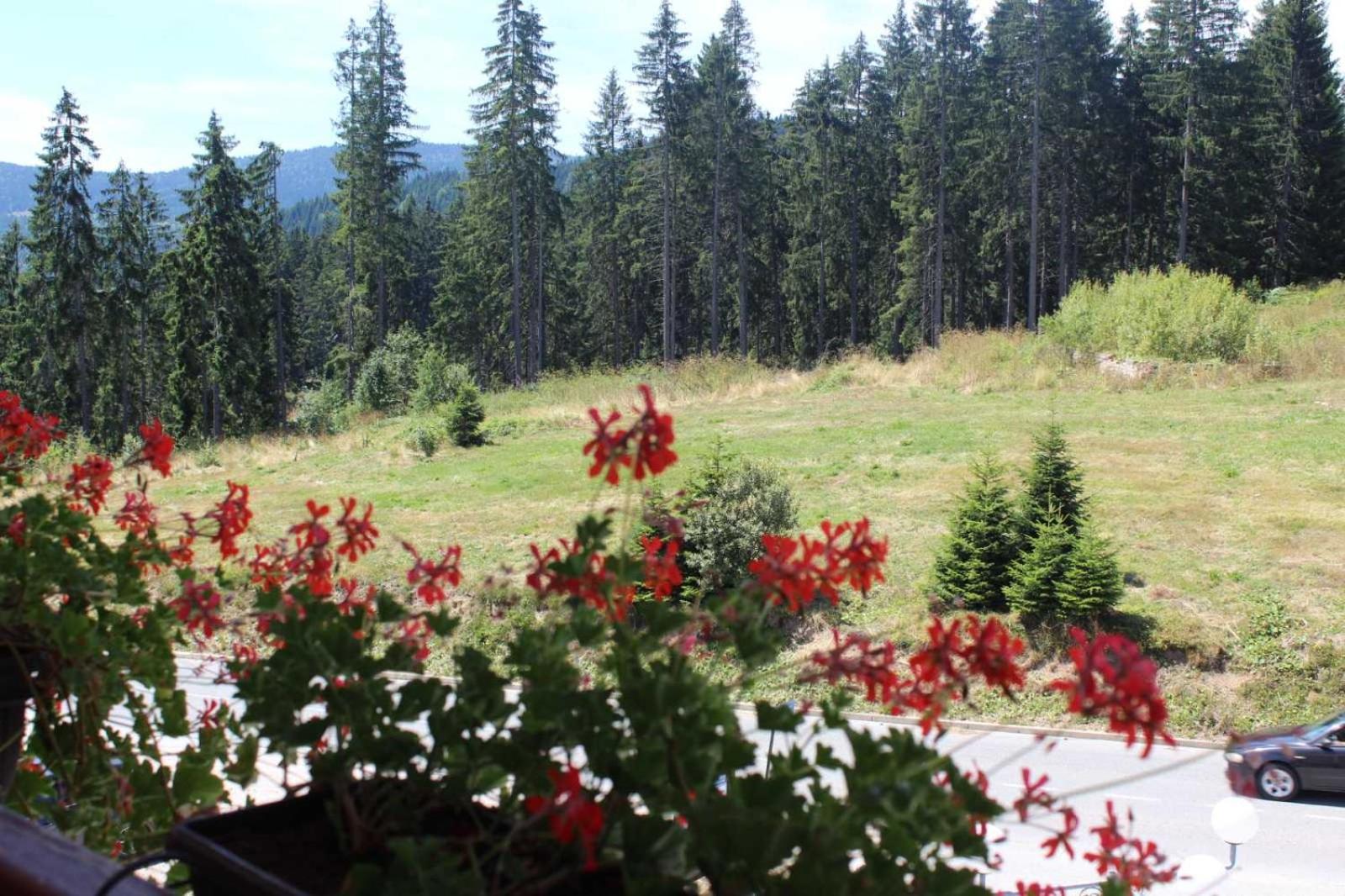 In Hotel Zlatar Ex Zlatarski Biseri Nova Varoš المظهر الخارجي الصورة